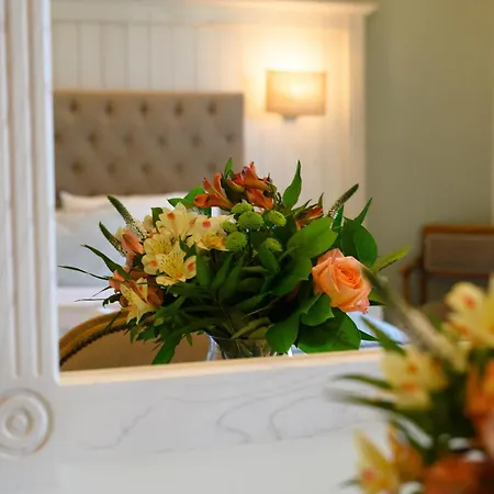Hotel Art Debono (adults Only) Gouvia